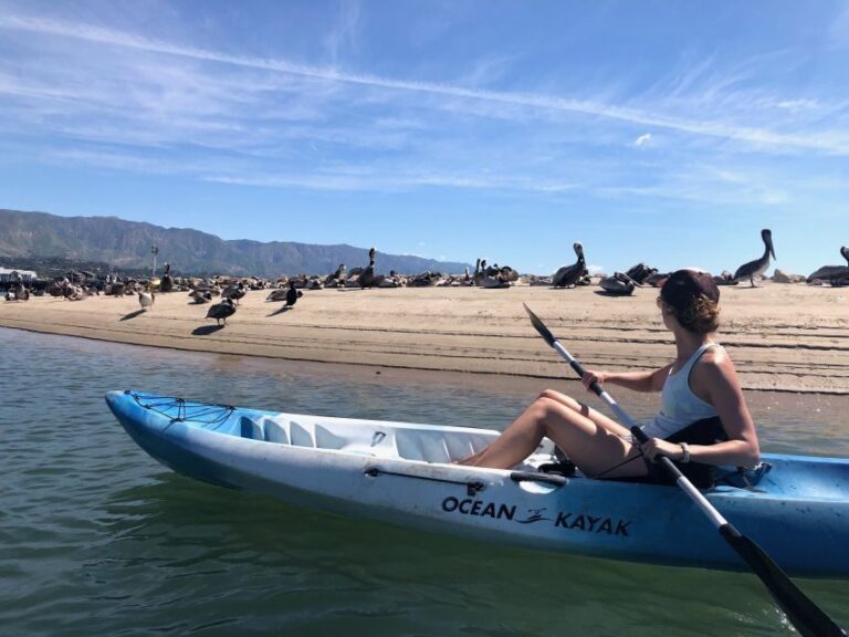 Santa Barbara: 1.5-Hour Harbor Kayak Tour - Who Should Book This Tour?