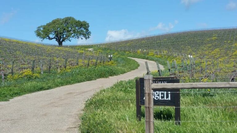 Santa Barbara: E-bike wine tour w/ transport, tasting, lunch - What the Reviews Say