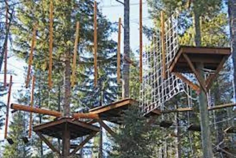 Santa Barbara: High Ropes Adventure Course - What You’ll Experience During the Adventure