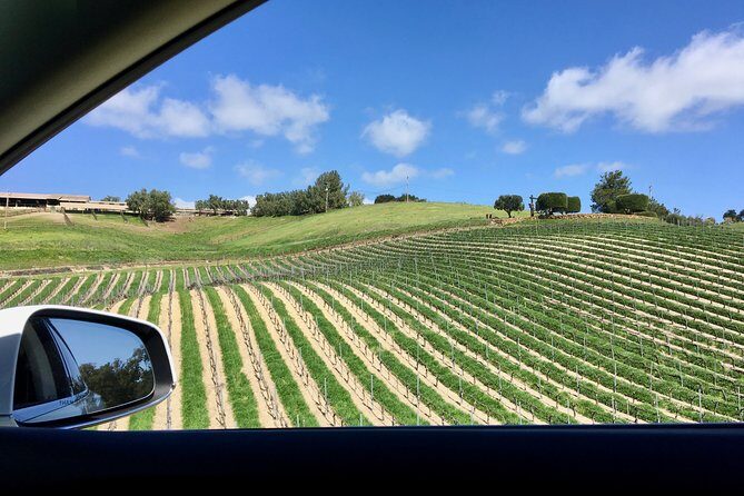 Santa Barbara Small-Group Wine Tour to Private Estates & Wineries - The Reviews Speak for Themselves