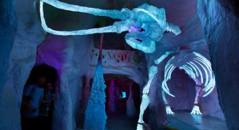 Santa Fe: Meow Wolf The House of Eternal Return Ticket - What to Expect During Your Visit