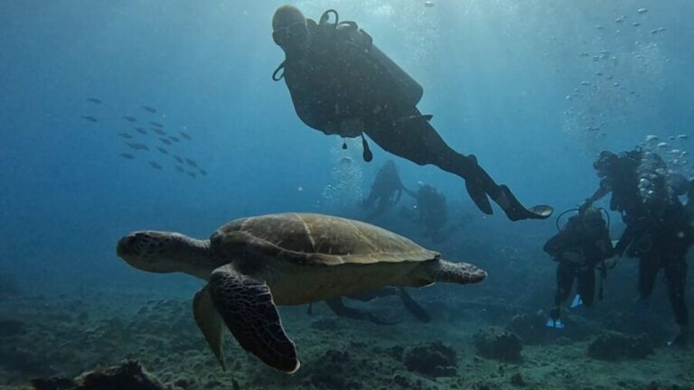Santa Maria: Advance Open Water Diver - PADI or SSI Course - A Closer Look at What to Expect During the Course