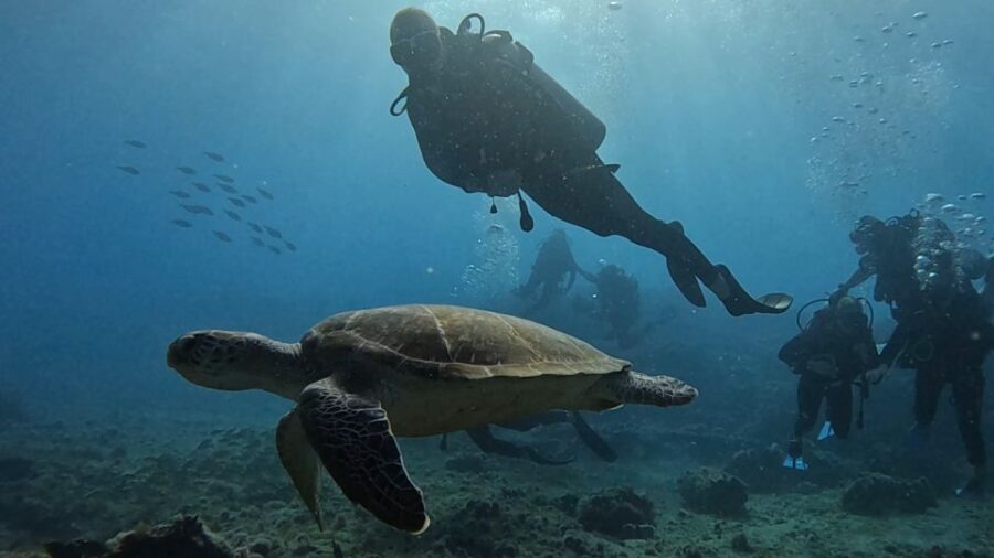 Santa Maria: Advance Open Water Diver - PADI or SSI Course - A Closer Look at What to Expect During the Course