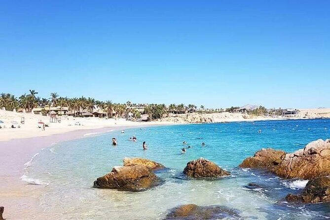 Santa Maria and Chileno Bay Snorkel Adventure Los Cabos - The Marine Environment: What You’ll See