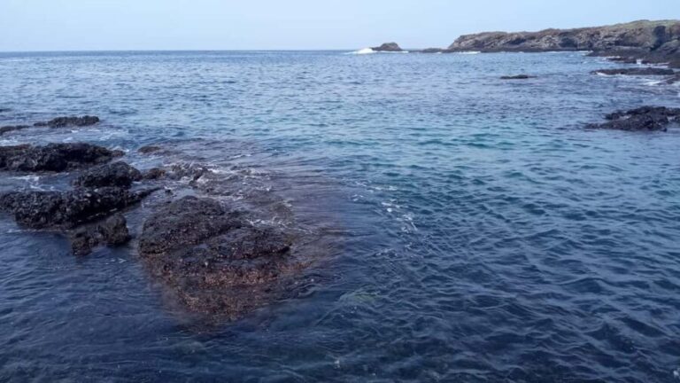 Santa Maria: Beach Fishing and Grilling Adventure - Who Will Love This Tour?