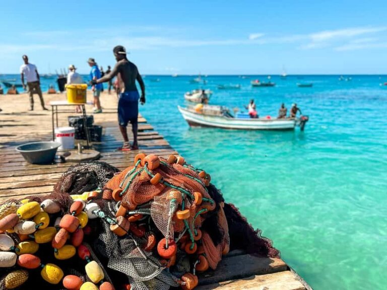 Santa Maria Half Day or Full Day Car Rental, Pedra de Lume - Exploring Sal Island at Your Own Pace