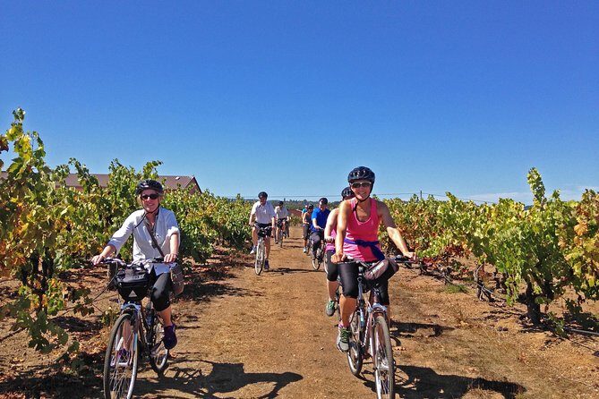 Santa Rosa Bike & Wine Tour - Who Should Consider This Tour?