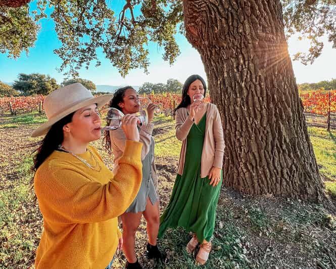 Santa Ynez: Private Wine Tour - Practical Tips for Travelers