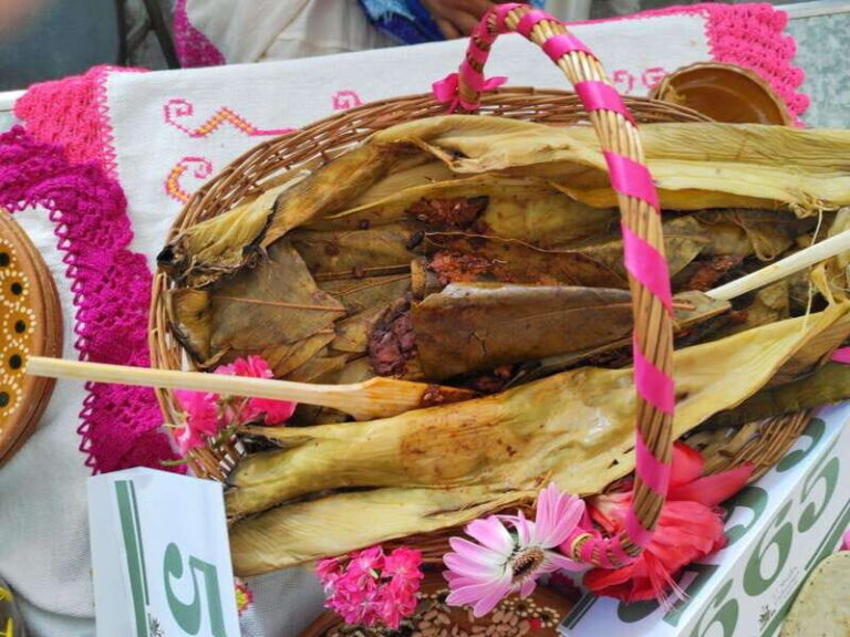 Santiago de Anaya, Hidalgo: Food tour. Experience among stoves. - An In-Depth Look at the Experience