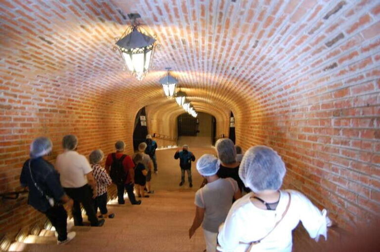 Santiago de Querétaro: Pueblos Mágicos Cheese and Wine Route - Who Will Love This Tour?