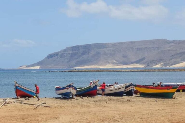 São Vicente: Half Day, Beaches, Villages and Monte Verde - Who Will Enjoy This Tour?