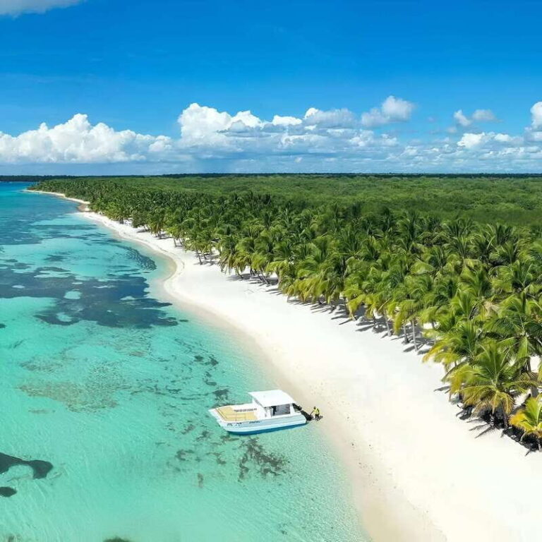 Saona Island Day Trip + Lunch + Open Bar from Punta Cana - What’s Included and What’s Not