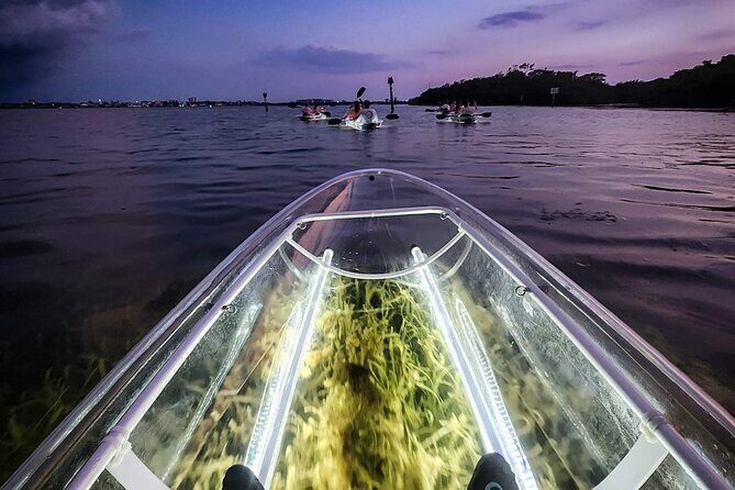Sarasota - Clear Kayak LED Night Glass Bottom Tour - The Sum Up: Is the Sarasota LED Night Kayak Tour Worth It?