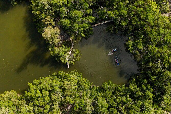 Sarasota Clear Kayak Tour - Final Thoughts: Is It Worth It?