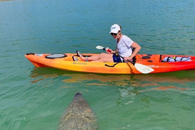 Sarasota Guided Mangrove Tunnel Kayak Tour - The Sum Up: Who Should Consider This Tour?