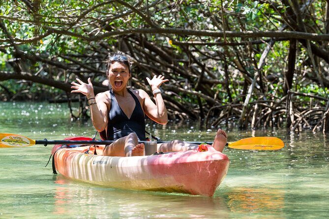 Sarasota Mangrove Tunnel Guided Kayak Adventure - FAQ