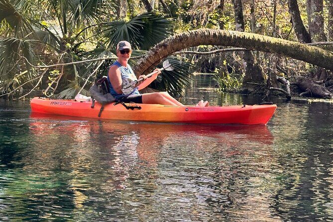 Sassy Silver Springs Kayak and Paddle Rental - The Itinerary: What to Expect