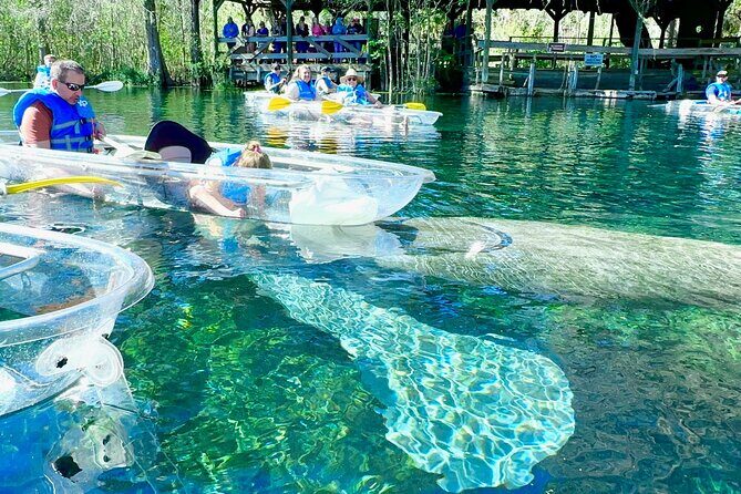 Sassys Silver Springs Kayak and Paddleboard Tours - Final Thoughts