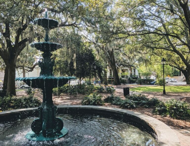 Savannah: Historic District and Islands Private Tour - Civil War Forts and Military History