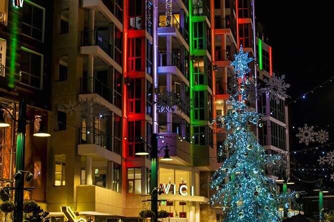 Savannah Holiday Sights and Festive Nights Trolley Tour - Detailed Breakdown of the Itinerary