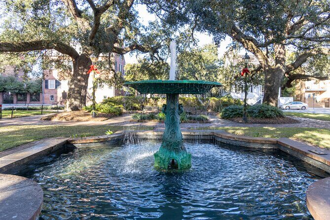 Savannah Photography Tour led by a Local Photographer - What Travelers Say & Why It Works