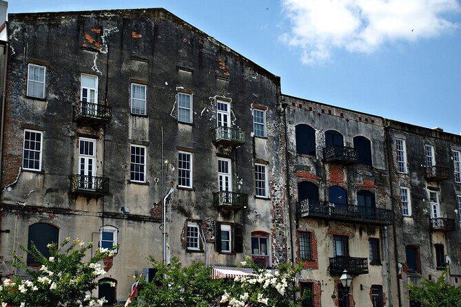 Savannah Scavenger Hunt Walking Tour and Game - Who Will Love This Tour?