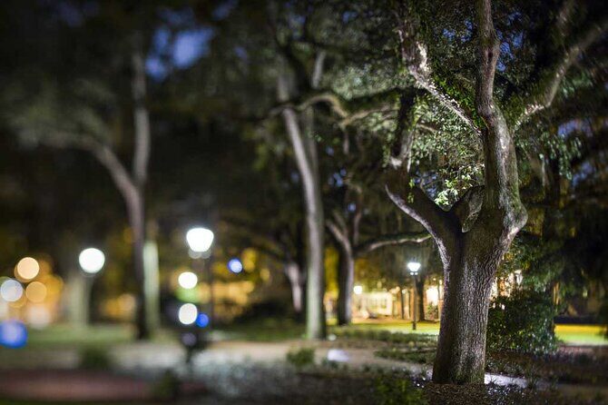 Savannah Shadows All Ages Ghost Tour - What Travelers Say