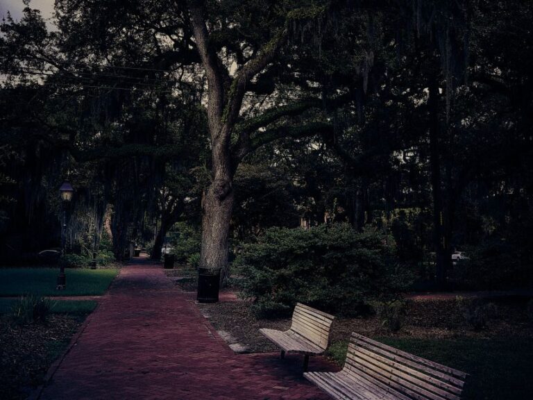 Savannah: Sixth Sense Savannah Ghost Tour - The Experience in Detail