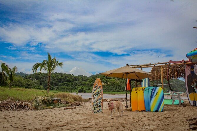 Sayulita and San Pancho Day Trip from Puerto Vallarta - Who Is This Tour Best For?