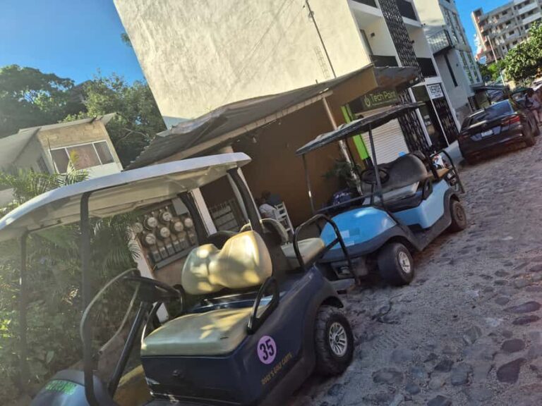 Sayulita: Electric Cart Rental - What to Expect from Your Electric Cart Experience
