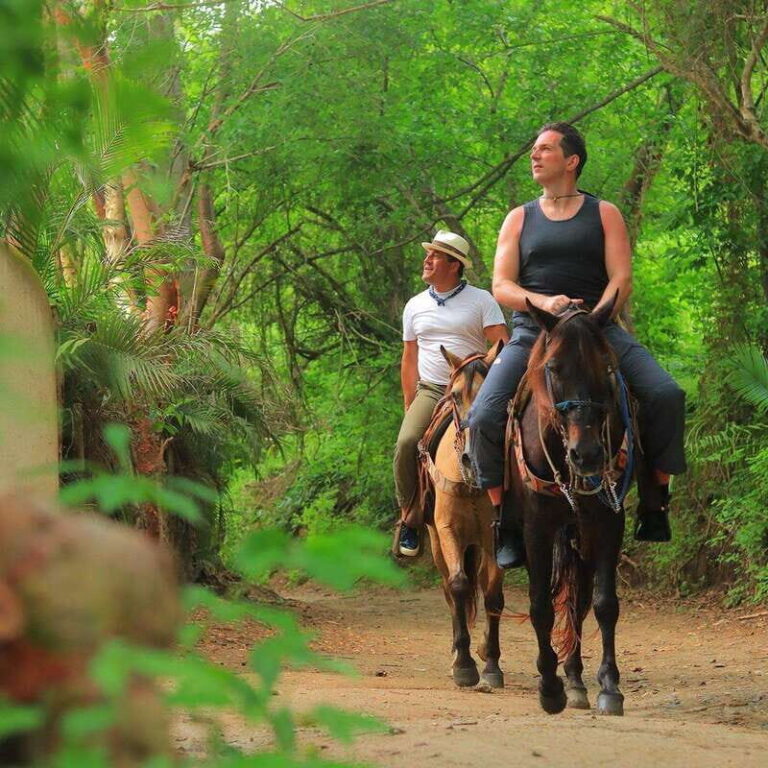 Sayulita: Horseback Riding Tour - Who Will Love This Tour?