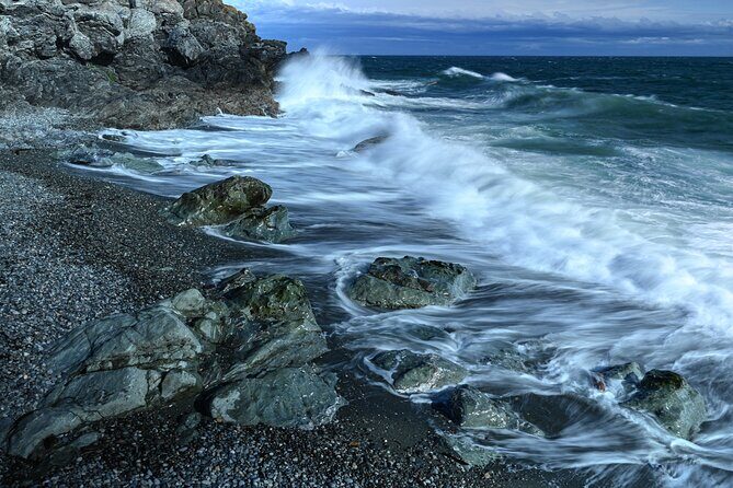 Scenic Coast and Wildlife Tour - What to Expect and Practical Details