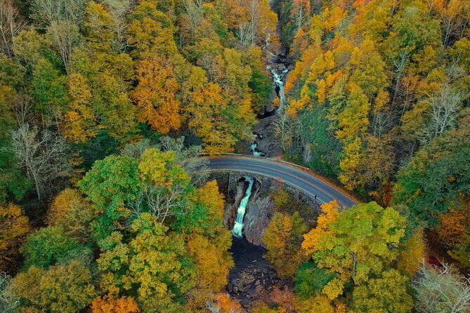Scenic Driving Tour of the Blue Ridge Mountains - The Review Highlights: What Travelers Say