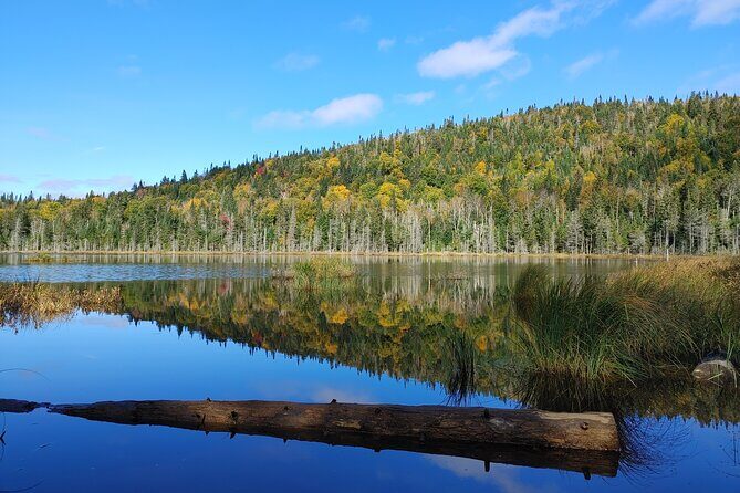 Scenic Hiking Adventure at Mont-Orford National Park - Authentic Experiences and Guest Feedback
