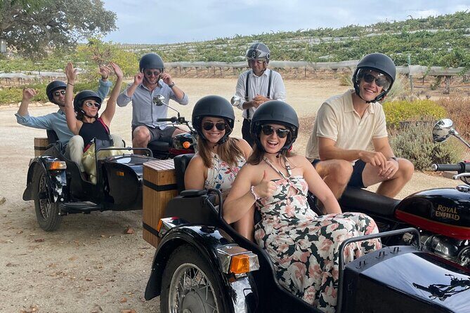Scenic Sidecar Vineyard Adventure San Luis Obispo - Who Should Consider This Tour?