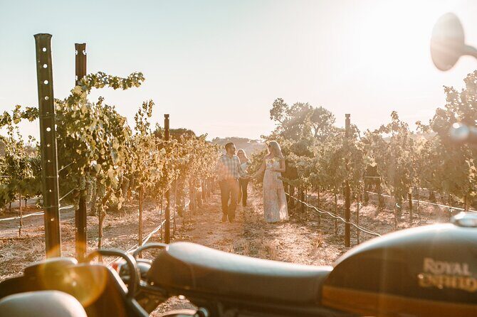 Scenic Sidecar Vineyard Tour Paso Robles - Who Will Love This Tour?