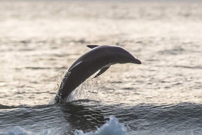 Scenic Sunset Cruise from Historic Johns Pass, Free Beer and Wine - The Real Deal: What You Might Expect Based on Reviews