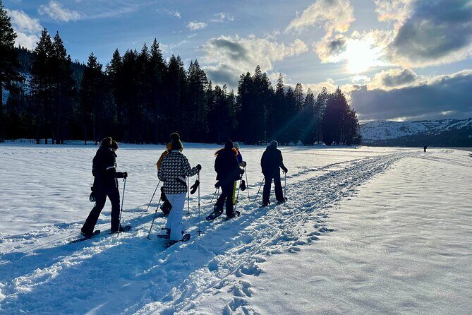 Scenic Sunset Snowshoe Tour - Final Thoughts: Who Will Enjoy This Tour?