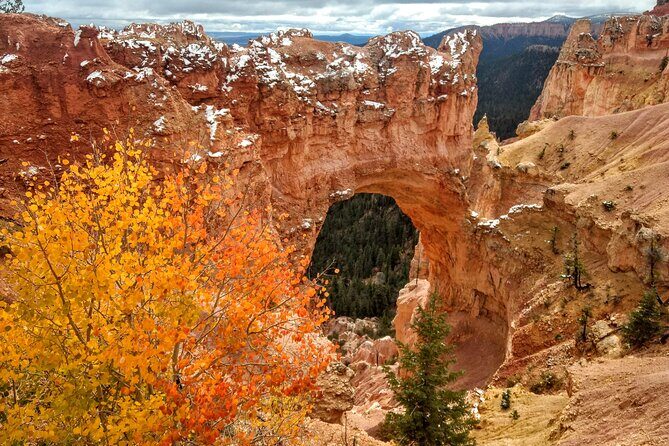 Scenic Tour of Bryce Canyon - How the Tour Works