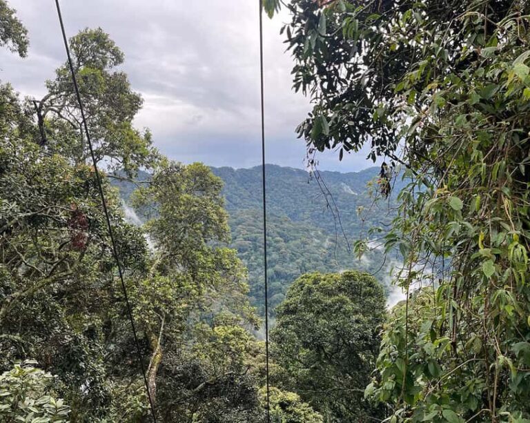 Scenic waterfall experience in the middle of Nyungwe Forest - Transportation and Logistics