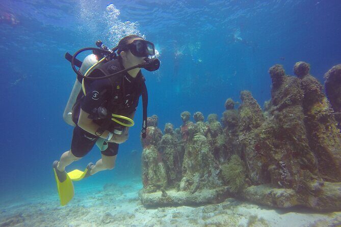 Scuba Dive at Musa Cancun for Certified Divers - What’s in It for You?