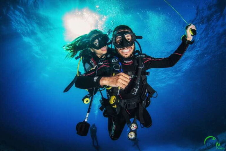 Scuba Dive in Playa del Carmen - 2 Dives (Certified divers) - What This Tour Offers