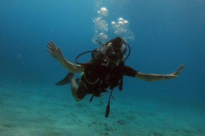 Scuba Diving (1st time) in Cancun Beginner's WELCOMED! - What Makes This Tour Stand Out