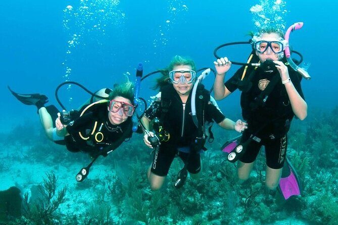 Scuba Diving Activity in Dubai with Hotel Pickup - The Value for Money