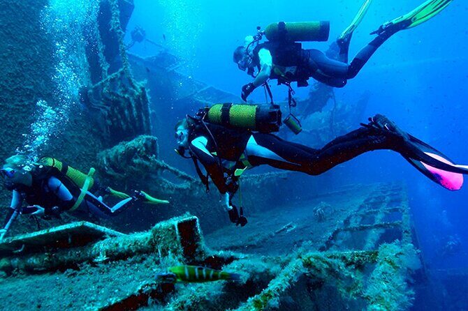 Scuba Diving around the Riviera Maya Reefs - Frequently Asked Questions