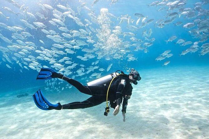 Scuba Diving Full Day Boat Trip for beginners With Lunch & Transfer  Hurghada - What Makes This Tour Stand Out