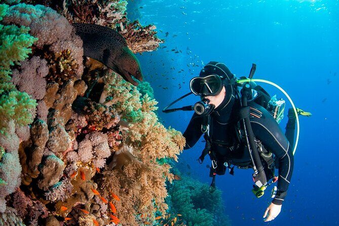 Scuba Diving in Fujairah with Private Transfers - Arrival and Gear Up