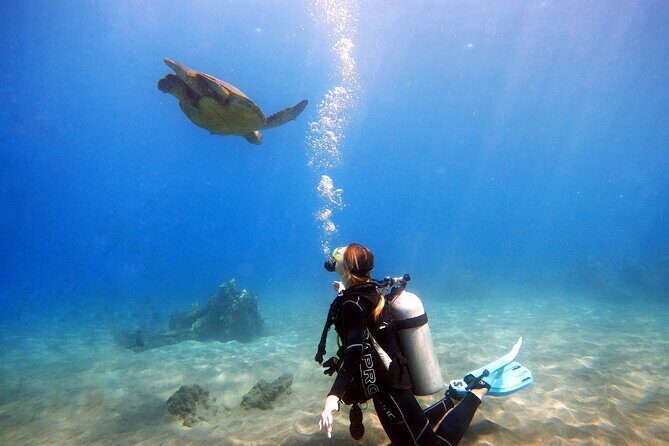 Scuba Diving in Maui with No Experience Needed - The Practical Side: Price, Timing, and What to Bring