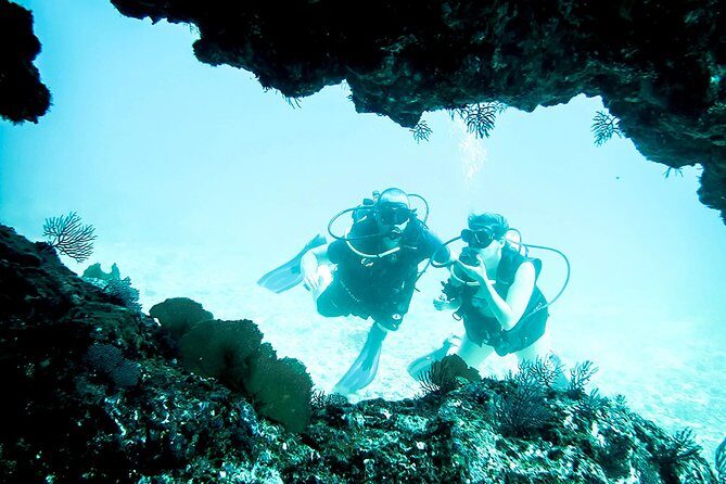 Scuba Diving Marietas Islands - A Practical Look at the Tour Experience