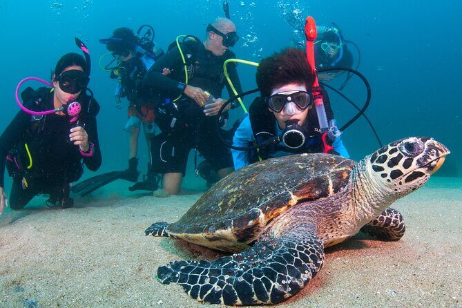 Scuba Diving Puerto Vallarta Undersea Arcos or Marietas - FAQ